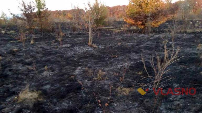 На Вінниччині ледь не згорів ліс через підпал чи недбальство