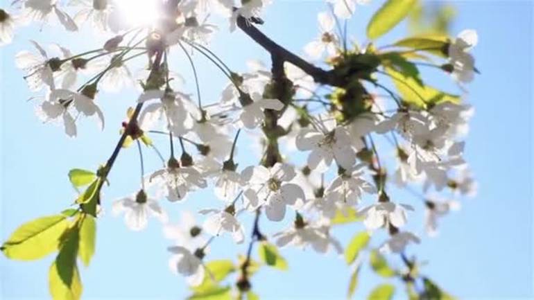 Незабаром на українців чекатиме потепління