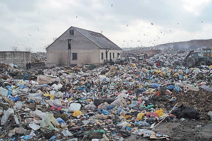 стихійне сміттєзвалище фото