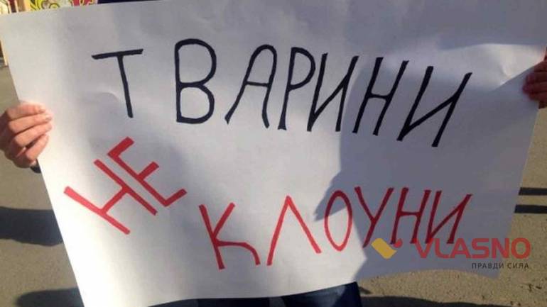 Вінничани хочуть цирку без тварин