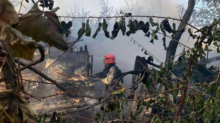 На Вінниччині через дитячі пустощі в пожежі загинули 16 нутрій