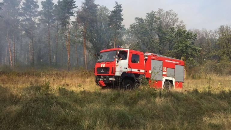 Поблизу меморіального комплексу &ldquo;Вервольф&rdquo; пожежа