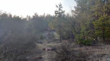 На Вінниччині молоду жінку знайшли мертвою у лісі
