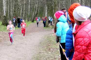 чемпіонат з легкоатлетичного кросу імені Юрія Козловського у Вінниці фото