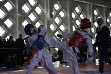 На відкритому чемпіонаті області з тхеквондо билися 164 спортсмени