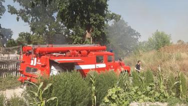 На Вінниччині через підпал поля ледве не згоріло село, а дикі тварини залишились без домівок