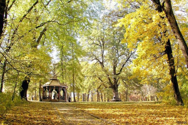 дендропарк фото