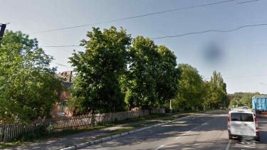 Мешканці Літина щодня наражаються на небезпеку через &laquo;аварійні&raquo; липи