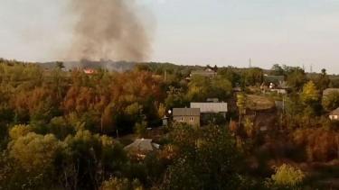 У Ямполі через паління кукурудзиння ледь не згорів весь ліс