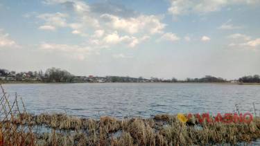 У селі на Вінниччині влаштовують рибні жнива
