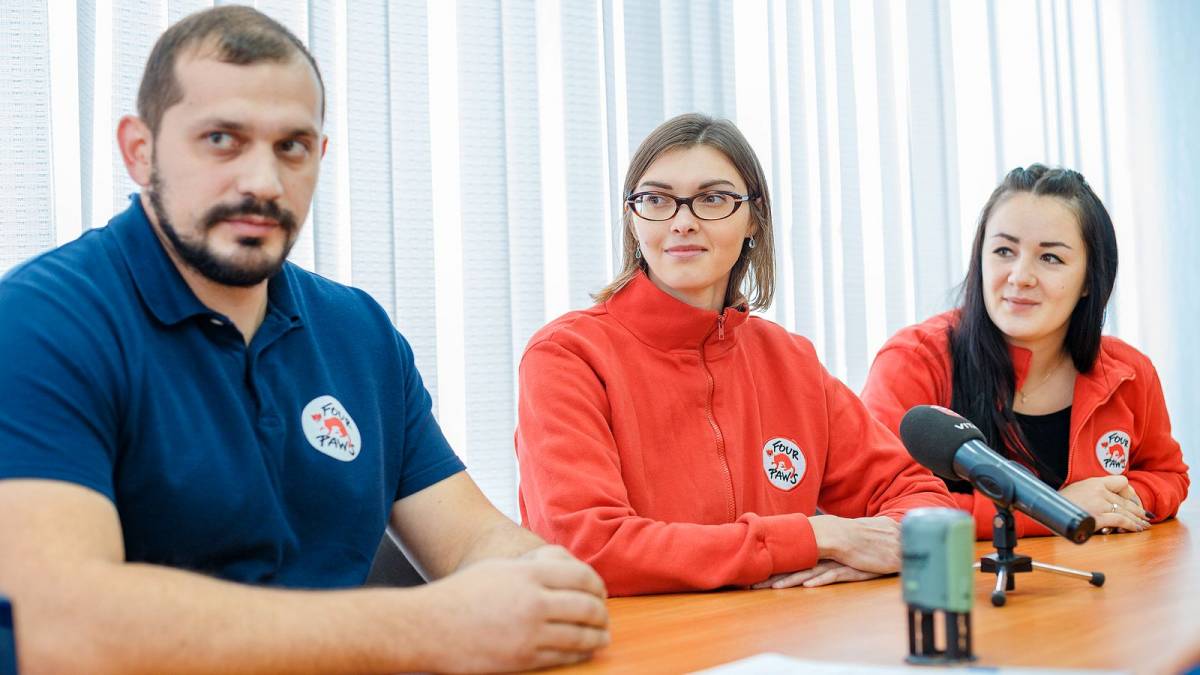 Майже 250 безпритульних собак простерилізували у Вінниці