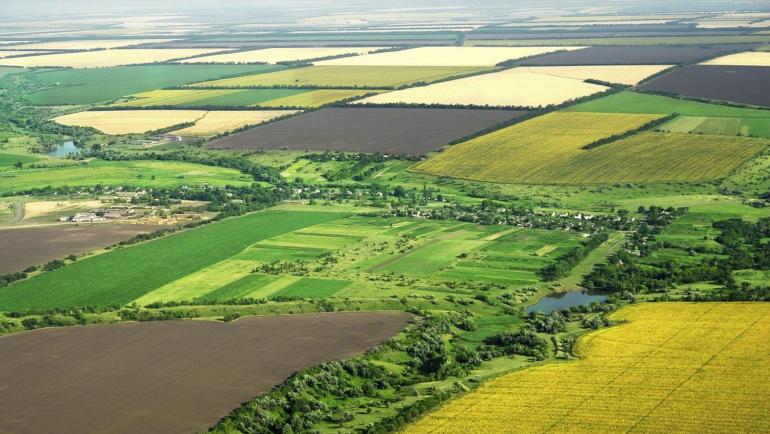 Громадам Вінниччини передадуть понад 180 тисяч гектарів землі