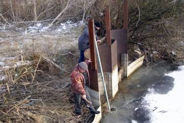  Літинські активісти звинувачують директора рибцеху у нищенні річки Згар
