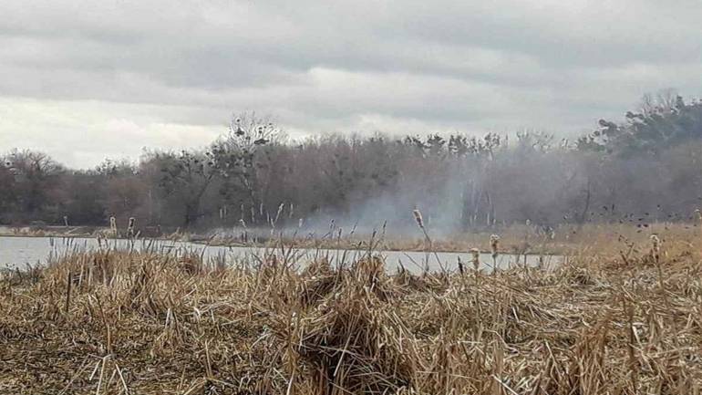У Вінниці періодично горить очерет