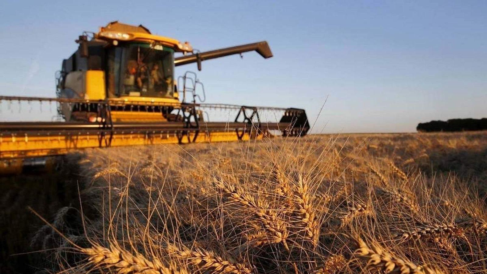 На Вінниччині зібрали перший мільйон тонн зернових
