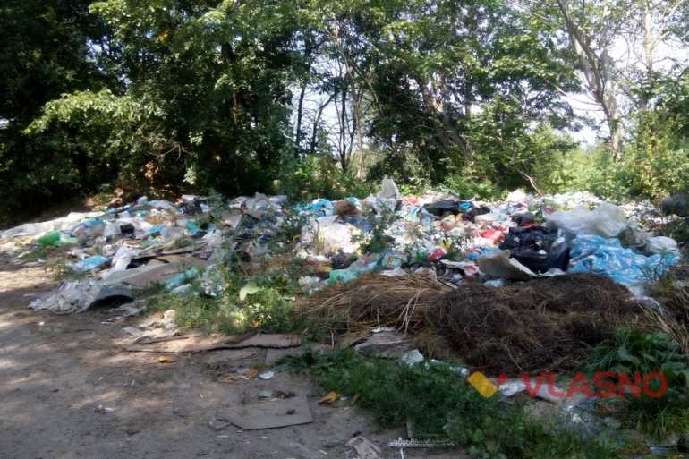 Стрижавські смітники фото