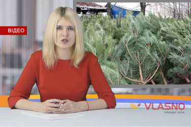 Власні підсумки фото