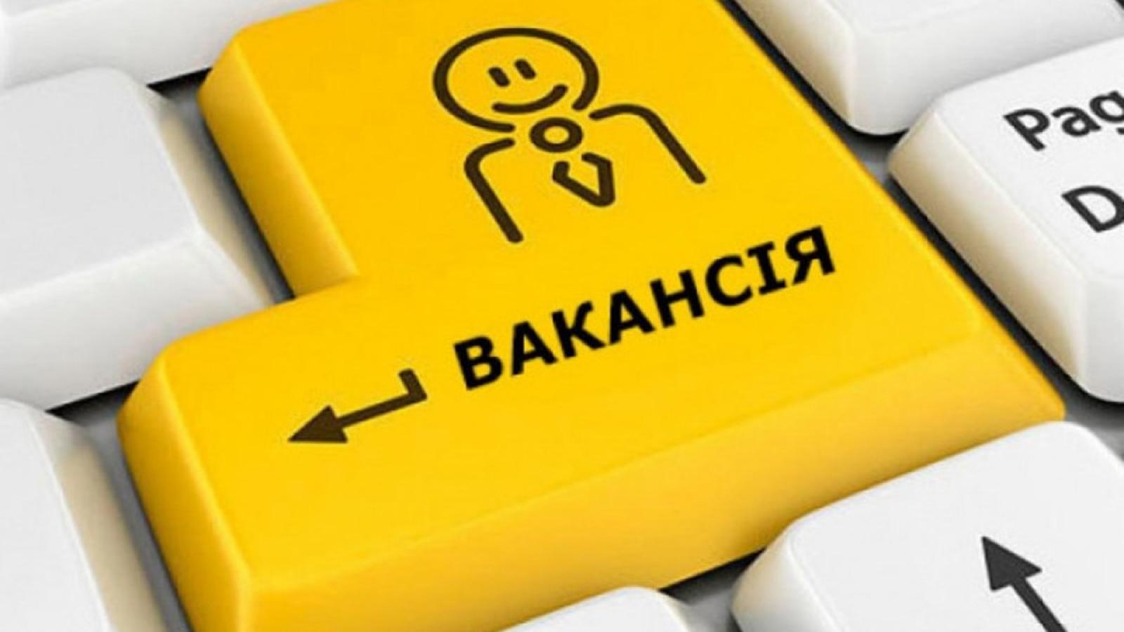 Кочегари, швачки, кухарі: яких працівників шукають на Вінниччині
