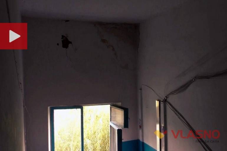 грибок у будинку на вулиці Гонти 21 фото