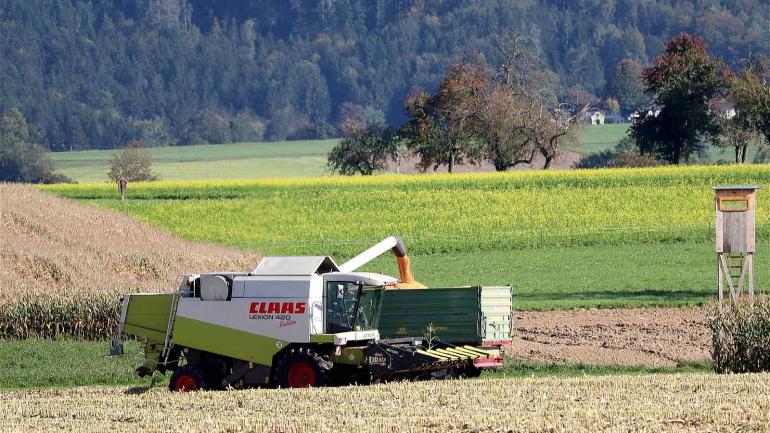З України експортували 21,3 мільйонів тонн зерна