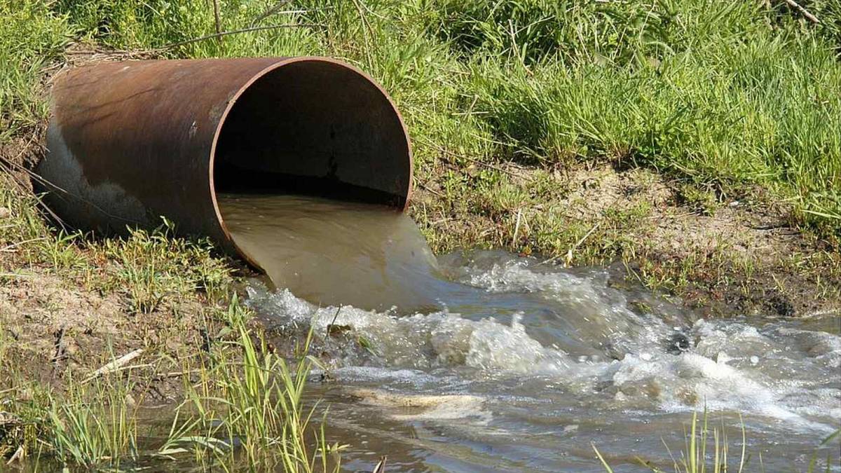 На Вінниччині через яблука псується вода у річці