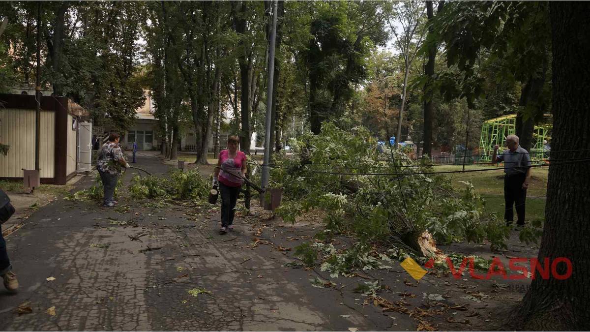 Сильний вітер повалив гілля на дроти у вінницькому парку (ФОТО)