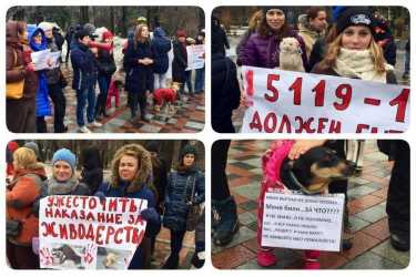 акція на підтримку безпритульних тварин фото