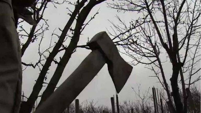 На Київщині п&rsquo;яна жінка ледь не вбила зятя
