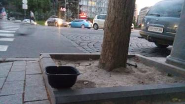 Вінничани самотужки рятуватимуть тварин від спеки