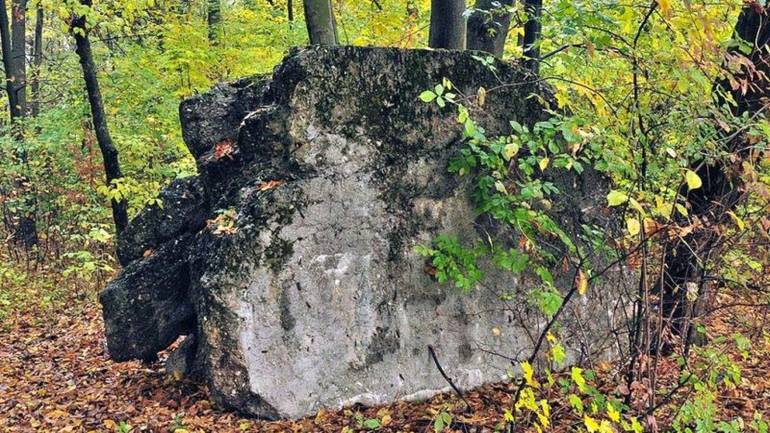 В зарослях лісу на Вінниччині знаходиться ще одна ставка Третього Рейху (ФОТО)