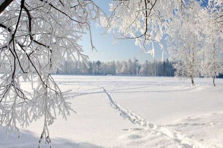 морози фото