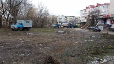 Мешканці Тяжилова занепокоєні вирубкою дерев біля озера
