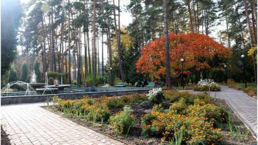 У санаторії на Вінниччині краще, ніж у Карлових Варах**