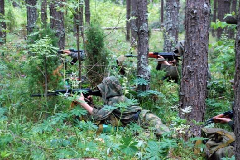 ДРГ бойовиків фото