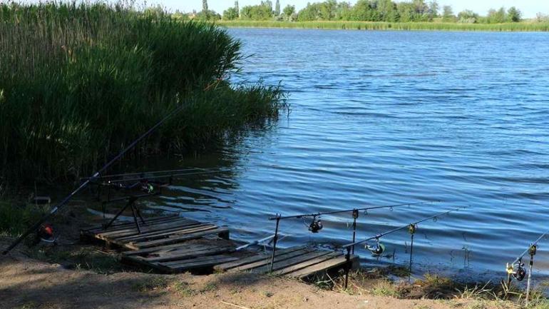Депутат райради та місцеві фермери: хто ловить рибу у Чечельницьких ставках