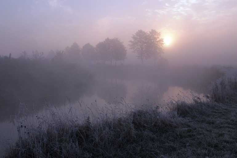 заморозки фото